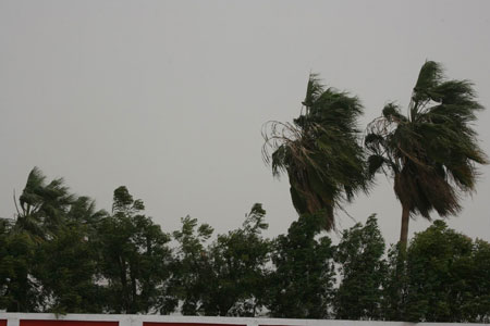 图文:[国足迪拜训练] 迪拜沙尘暴天气肆虐
