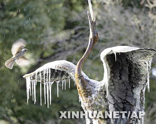 大风雪侵袭日本北部(组图)