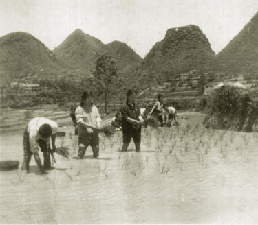 1949到2007:中国农村改革与发展58年(图)