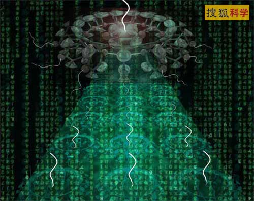 此图证实日本分子电脑的设计堪称“人造脑”
