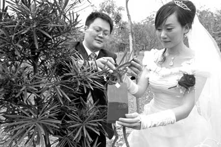 新婚夫妇举办植树婚礼 爱情树见证百年情(图)