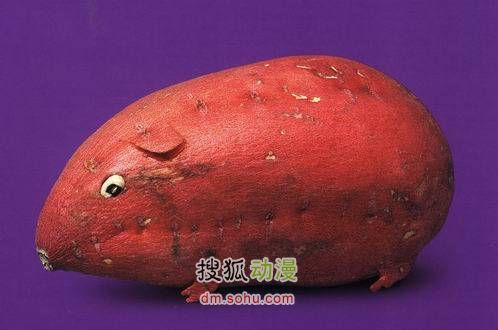 蔬菜变成小动物