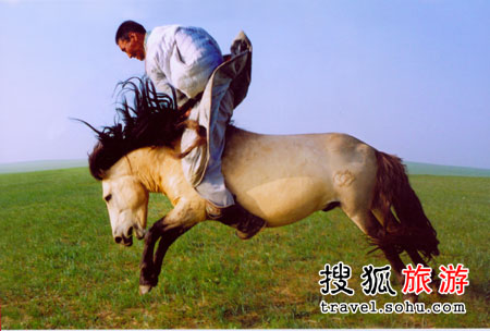 horse riding 骑马奔驰