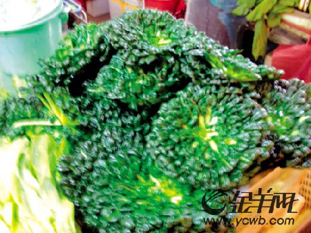 中式餐坊 美食探地 一般人把这类新奇蔬菜买回家都会不知所措,不知