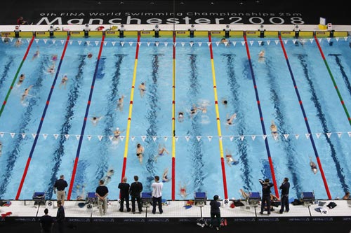 图文：短池游泳世锦赛将开赛 体育馆准备就绪