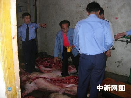 乐昌查获3千斤不明死因猪肉气味催人呕吐(图)