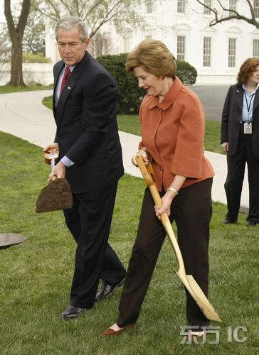2008年4月9日,华盛顿,美国总统布什和第一夫人劳拉在白宫北草坪铲土
