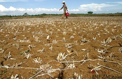 粮惑调查:国内农民种地不挣钱 频现耕地抛荒(图