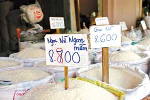 在越南胡志明市的米铺里，大米的价格标签几乎每天都在刷新。