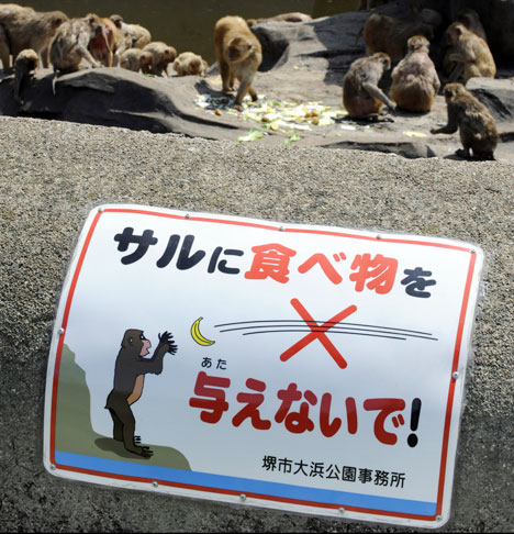 公园里的"禁止投食"警示