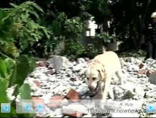 台湾南投搜救犬队待命 曾经参与过921大地震