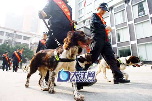 28名粤警携搜爆犬 昨赴北京保驾奥运