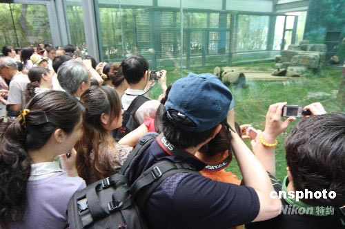 图文:北京动物园熊猫新馆正式开放