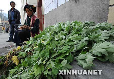 6月8日，四川省理县的一名藏族妇女在出售艾草。新华社记者武巍摄