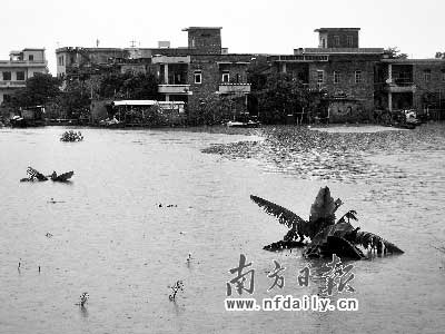 深圳洪灾泛滥数千人被困 民警救出3000多名群