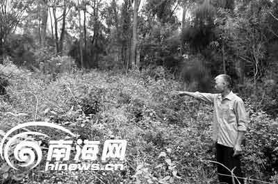 双胞胎姐妹失踪续:姐姐尸首现村后草丛(图)