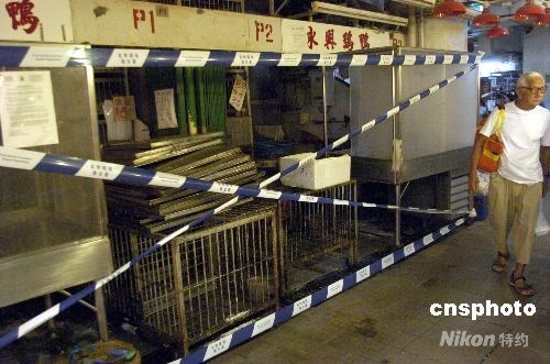 香港政府员工参与杀鸡后发烧 证实没有染禽流感