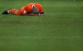 图文：俄罗斯3-1荷兰进四强 荷兰球员痛苦倒地