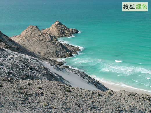 索科特拉群岛