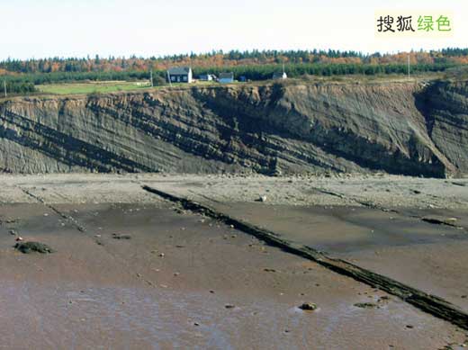 金斯化石断崖