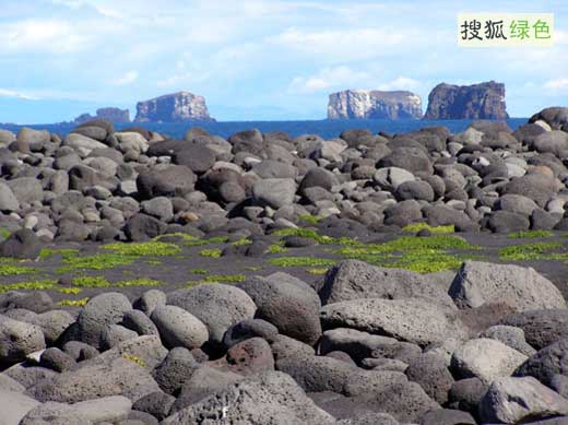 叙尔特塞岛