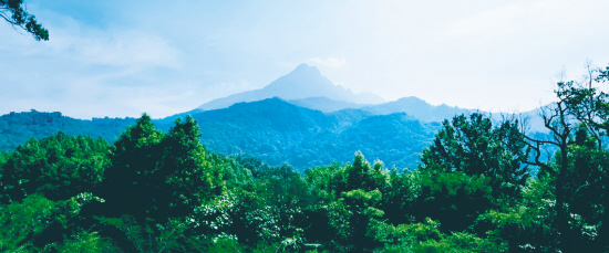 我爱五指山简谱_我爱五指山我爱万泉河(3)