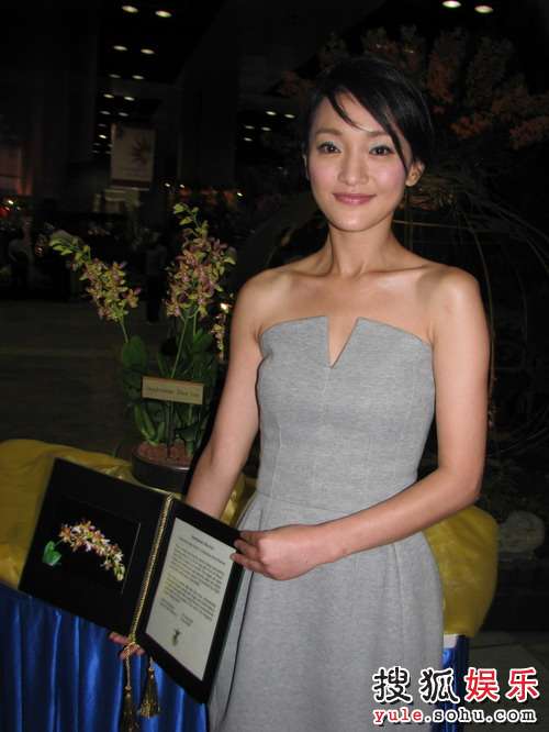 周迅是第一个荣膺此荣誉的中国女星