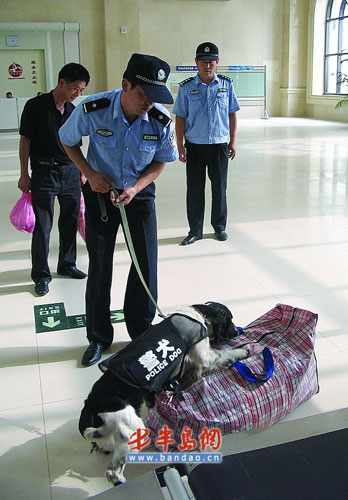 警犬检查可疑包裹。