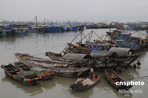 凤凰可能是今年最强台风 福建各地将遭暴雨