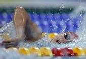 图文：张琳400米自由泳银牌 张琳在比赛之中