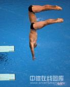 图文：男子双人三米板决赛中国冲金 整齐划一
