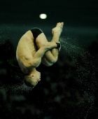 图文：跳水比赛落幕 俄罗斯选手格列布・加尔佩