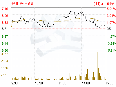 兴化股份(002109)深圳市稳健投资发展有限公司