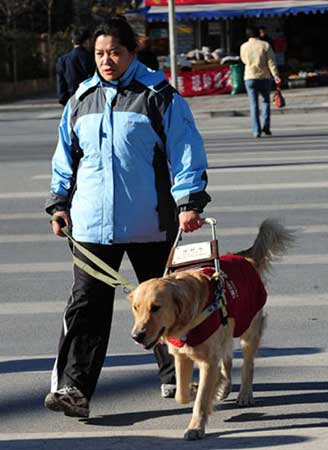 残奥冠军平亚丽和导盲犬Lucky