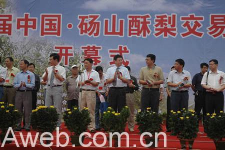 2008第二届中国砀山酥梨交易会隆重开幕