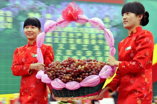 图文:北京顺义举办农产品博览会