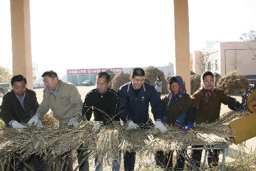 中国外交官在朝鲜参加支农活动 秋收劳动(图)