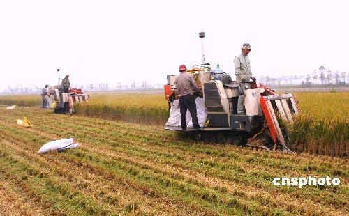 中国粮食与人口问题_中国人口问题系列文章18 粮食安全不是限制生育的理由