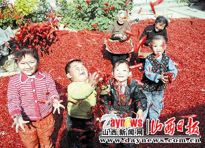 龙门杯新闻摄影大赛:新绛县引导菜农发展规模