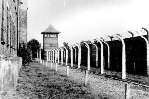 奥斯威辛集中营是二战期间德国纳粹在欧洲最大的魔窑.