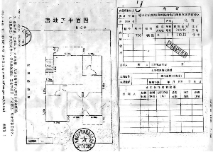 日,一id为"自由飞翔的笨鸟"的网友在天涯社区上发帖《不用怀疑真实性