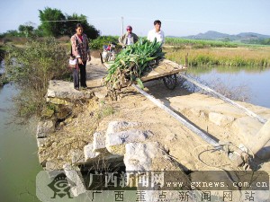 稻庄镇高柳村人口