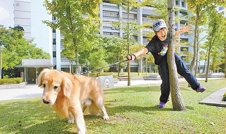林俊杰带狗儿子出游，60公斤重的他常被快40公斤重的MOMO拉着跑。