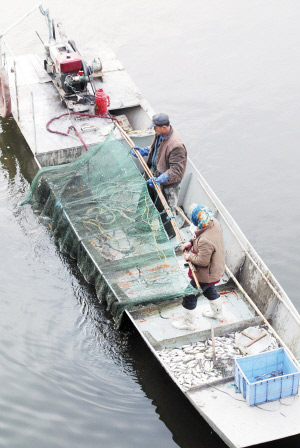 渔船藏猫腻渔网变电网 海河惊现带电"绝户网"
