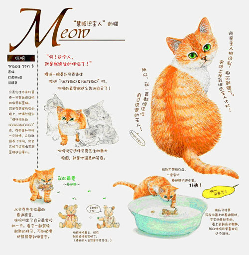 活动:NEARGO猫之物语--中国原创猫咪秀