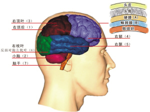 湖北十堰青少年素质教育基地