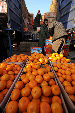 在位于哈尔滨市的哈达水果批发市场,南方柑桔销售商在促销柑桔.