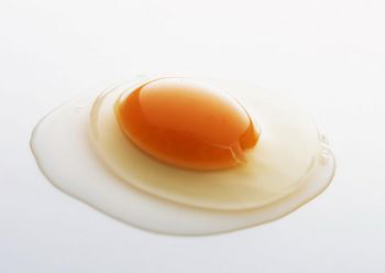 鸡蛋一天一个刚好足够 蛋黄营养丰富