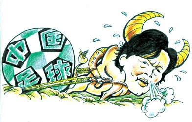 属牛一族:孙雯堪称孺子牛 朱广沪当老黄牛(图)