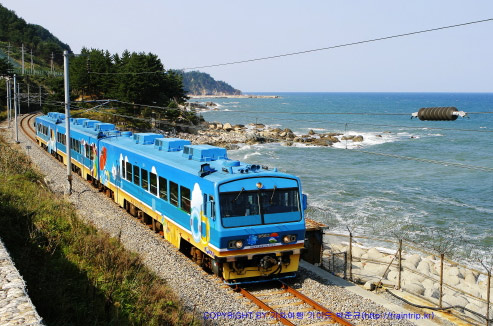 韩国东海岸的梦幻雪地火车之旅
